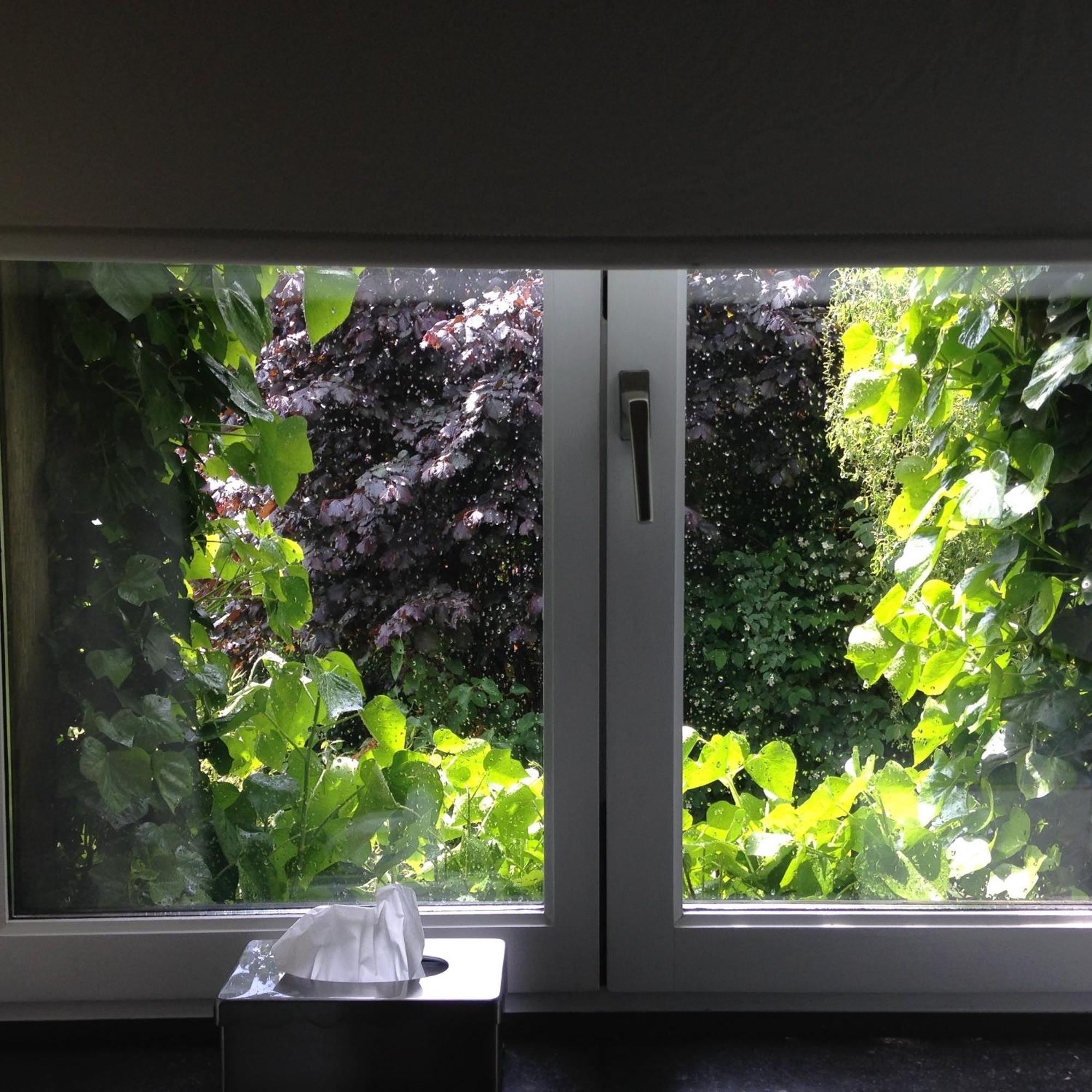 B&B Matin Tranquille Liège Exterior foto