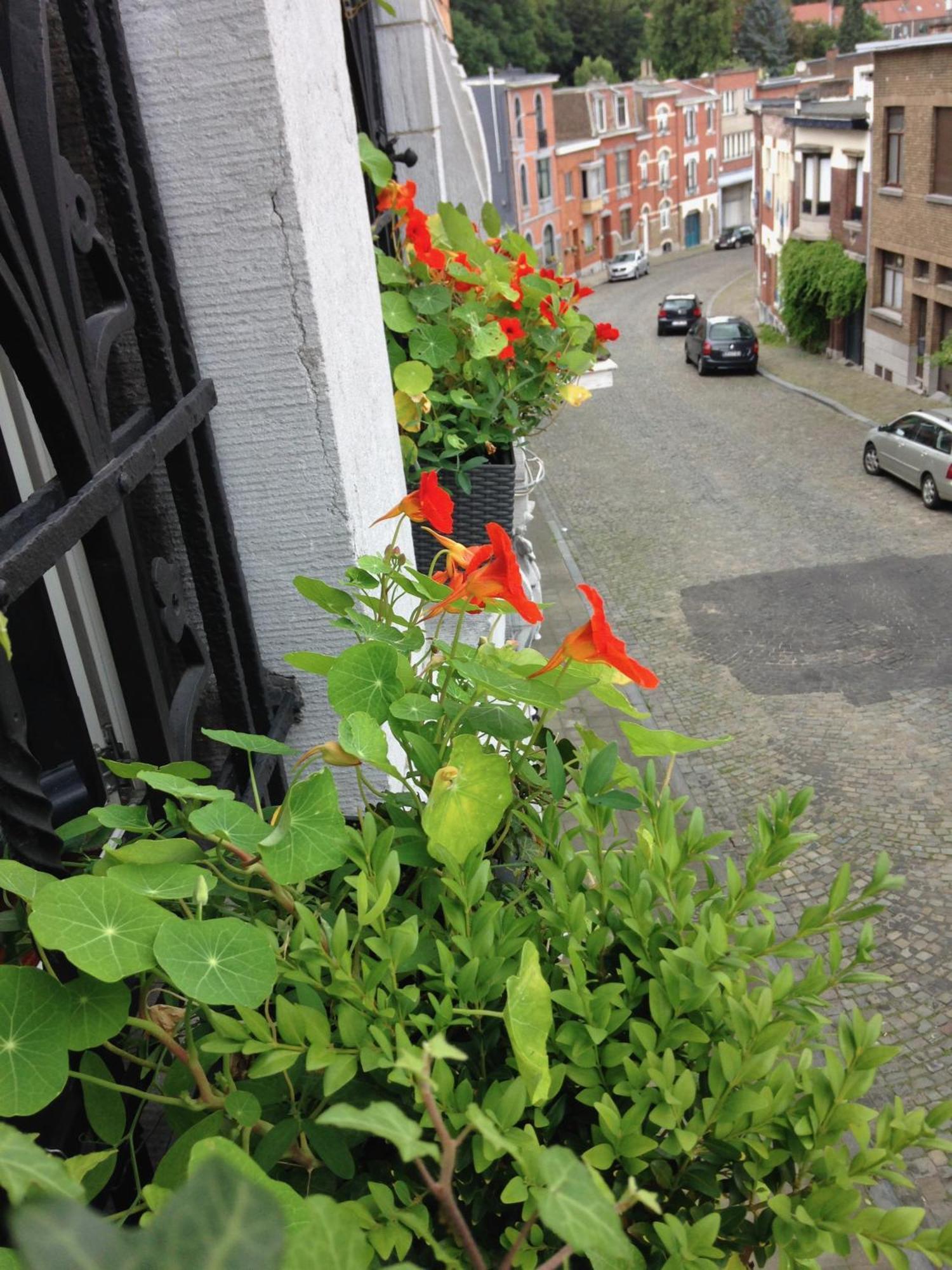 B&B Matin Tranquille Liège Exterior foto